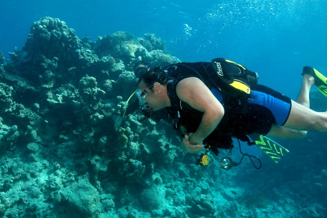 HRH Khaled bin Sultan diving