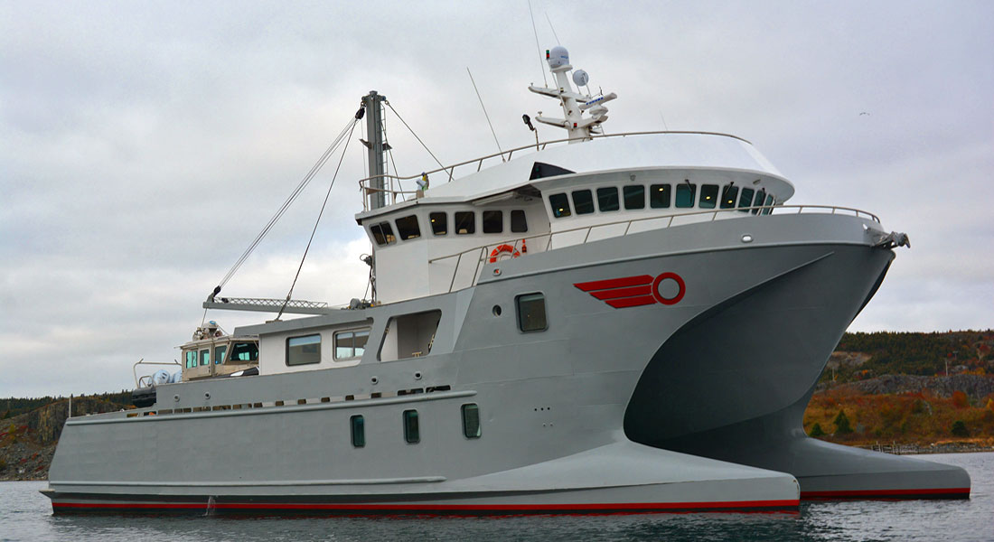 Rogue Ocean Voyager conversion project