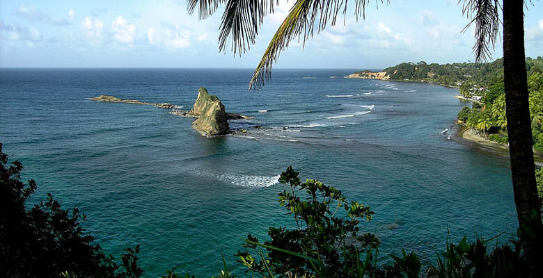 Y.CO yacht charter clients can help Dominica