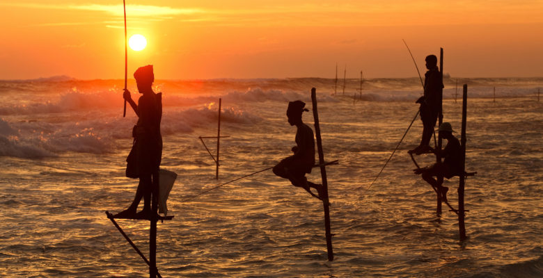 stilt fishing can be seen during Sri Lanka yachting trips