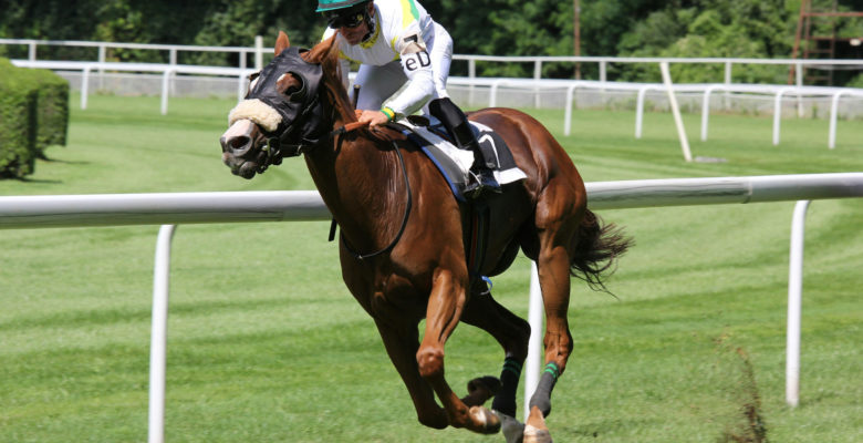 horse-themed superyachts