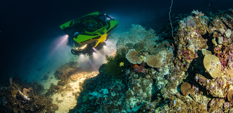 Cookson Adventures organizes ultra-luxurious adventure travel like sub dives