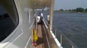 Darsea in Holland